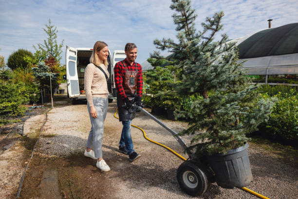 Best Arborist Services Near Me  in Twin Lakes, CA